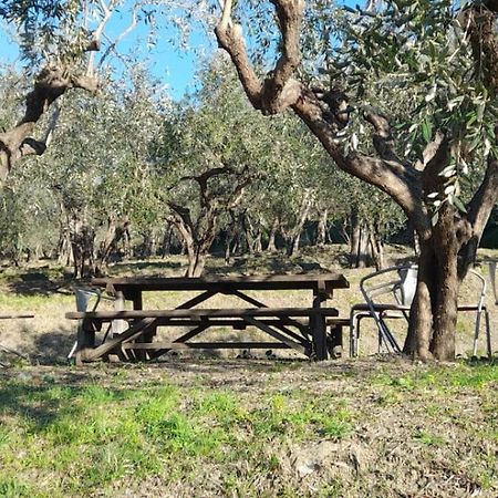 Agriturismo Cele チェッレ・リーグレ エクステリア 写真