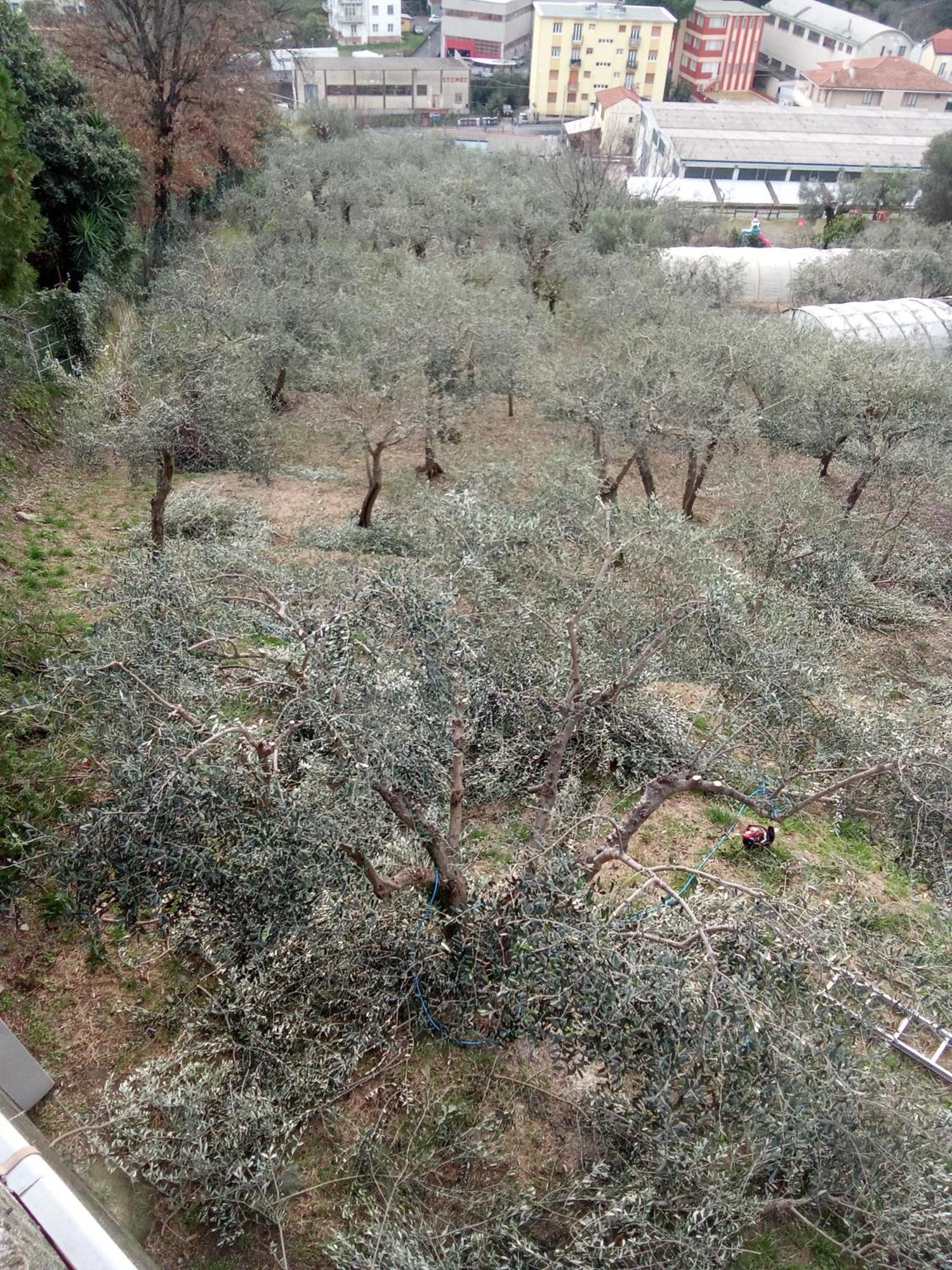 Agriturismo Cele チェッレ・リーグレ エクステリア 写真