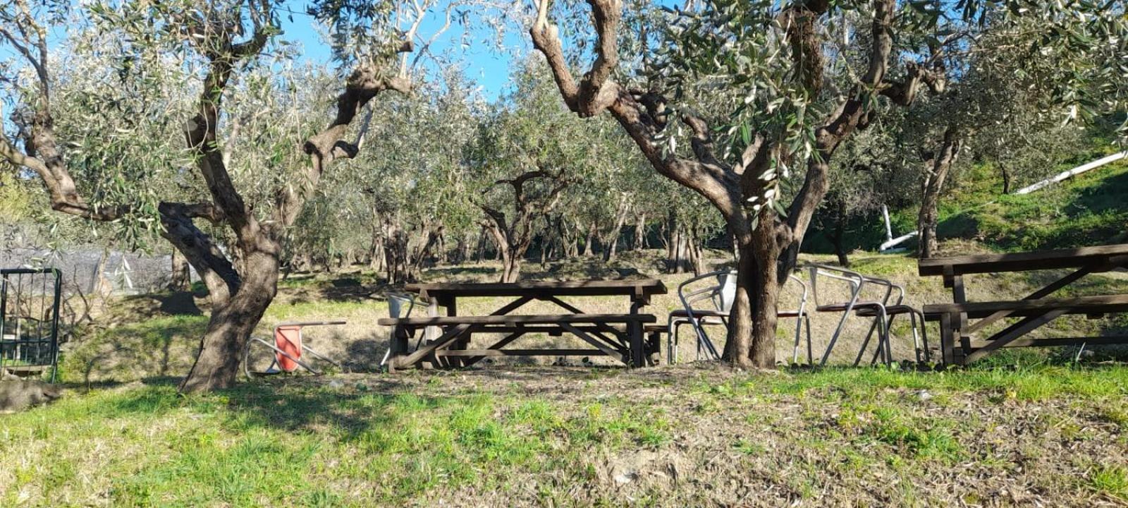 Agriturismo Cele チェッレ・リーグレ エクステリア 写真