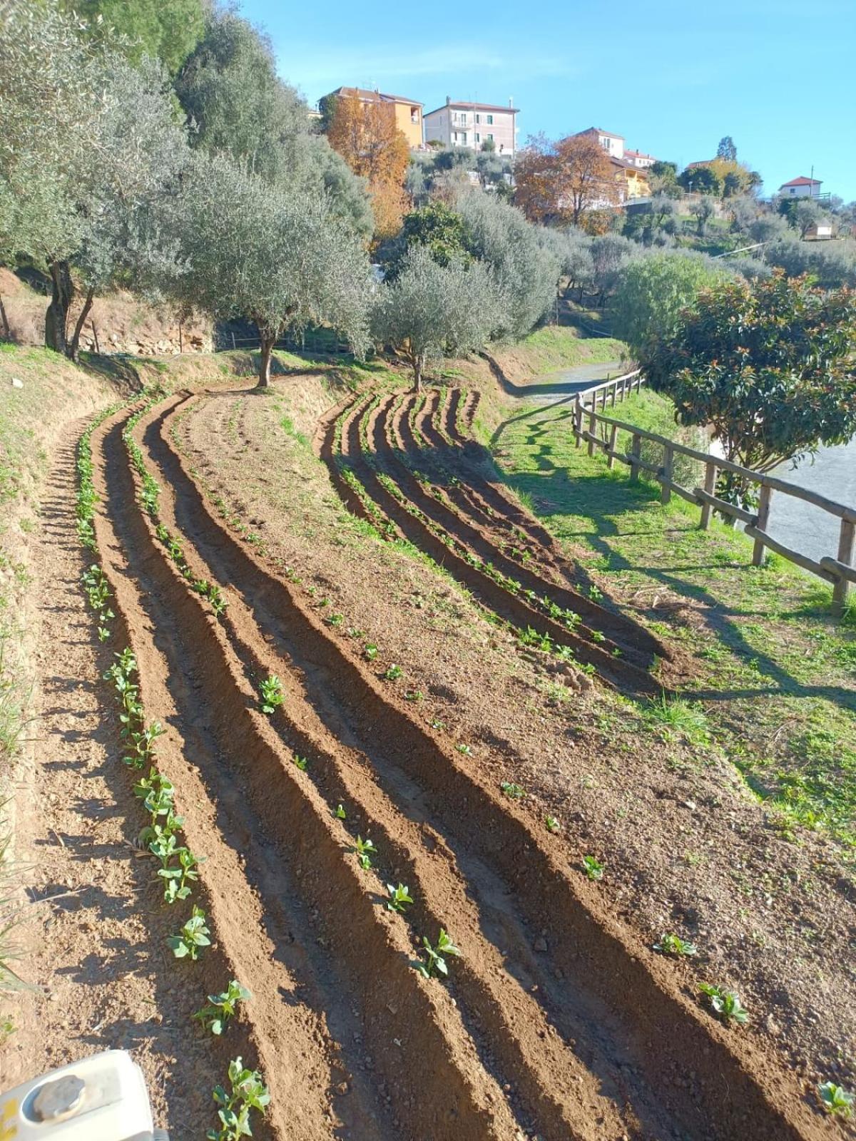 Agriturismo Cele チェッレ・リーグレ エクステリア 写真